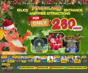 Park Admission Ticket